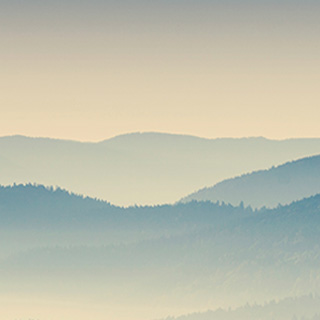 网络短信呼叫软件虚拟号码