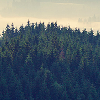 电话压力测试器